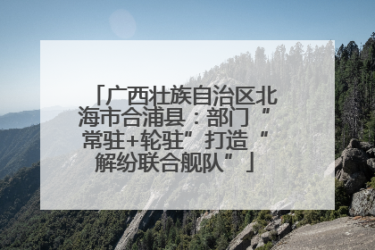 广西壮族自治区北海市合浦县：部门“常驻+轮驻”打造“解纷联合舰队”