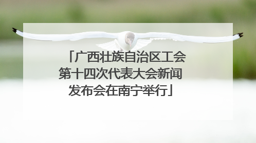 广西壮族自治区工会第十四次代表大会新闻发布会在南宁举行
