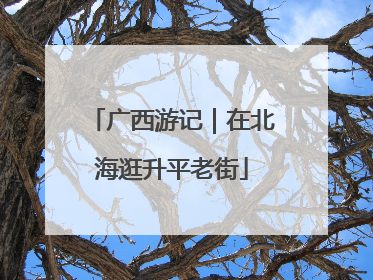 广西游记｜在北海逛升平老街