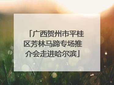 广西贺州市平桂区芳林马蹄专场推介会走进哈尔滨
