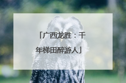 广西龙胜：千年梯田醉游人