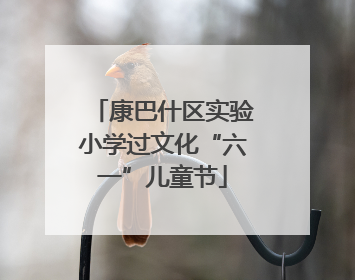 康巴什区实验小学过文化“六一”儿童节