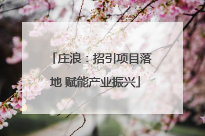 庄浪：招引项目落地 赋能产业振兴
