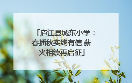 庐江县城东小学：春播秋实终有信 薪火相续再启征