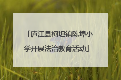 庐江县柯坦镇陈埠小学开展法治教育活动