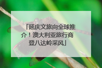 延庆文旅向全球推介！澳大利亚旅行商登八达岭采风
