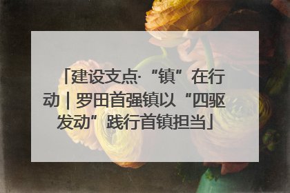 建设支点·“镇”在行动｜罗田首强镇以“四驱发动”践行首镇担当