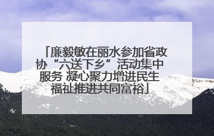 廉毅敏在丽水参加省政协“六送下乡”活动集中服务 凝心聚力增进民生福祉推进共同富裕