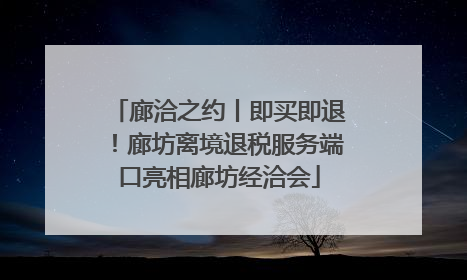廊洽之约丨即买即退！廊坊离境退税服务端口亮相廊坊经洽会