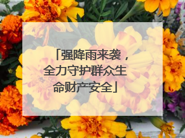 强降雨来袭，全力守护群众生命财产安全