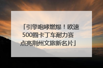 引擎咆哮燃爆！欧速500圈卡丁车耐力赛点亮荆州文旅新名片