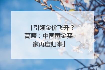 引领金价飞升？高盛：中国黄金买家再度归来