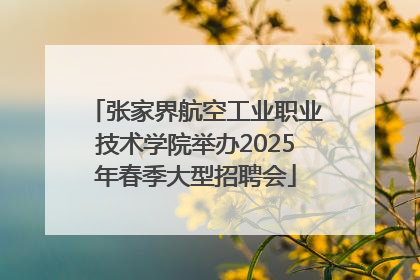 张家界航空工业职业技术学院举办2025年春季大型招聘会
