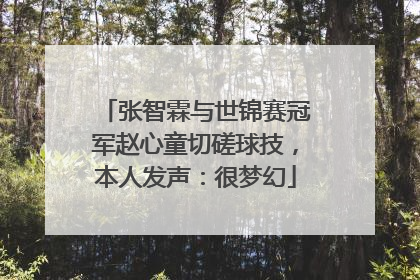 张智霖与世锦赛冠军赵心童切磋球技，本人发声：很梦幻