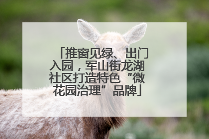 推窗见绿、出门入园，军山街龙湖社区打造特色“微花园治理”品牌