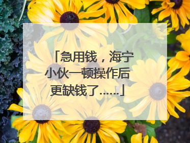 急用钱，海宁小伙一顿操作后更缺钱了……