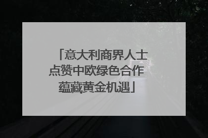 意大利商界人士点赞中欧绿色合作蕴藏黄金机遇
