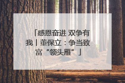 感恩奋进 双争有我丨董保立：争当致富“领头雁”