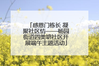 感恩门栋长 凝聚社区情——杨园街道四美塘社区开展端午主题活动