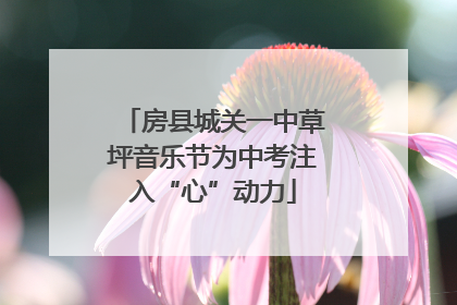 房县城关一中草坪音乐节为中考注入“心”动力