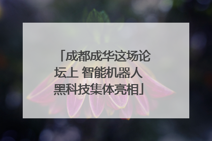 成都成华这场论坛上 智能机器人黑科技集体亮相