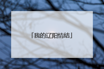 我的辽阳情结