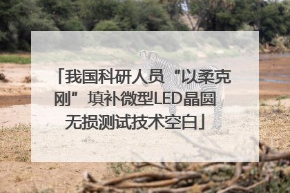 我国科研人员“以柔克刚”填补微型LED晶圆无损测试技术空白