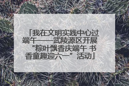 我在文明实践中心过端午——武陵源区开展“粽叶飘香庆端午 书香童趣迎六一”活动