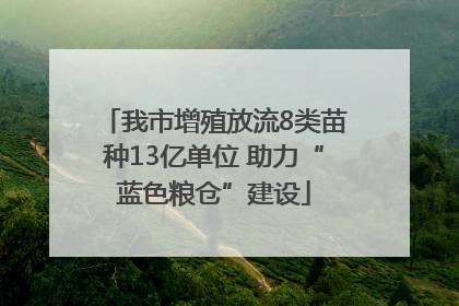 我市增殖放流8类苗种13亿单位 助力“蓝色粮仓”建设