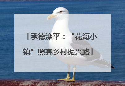 承德滦平：“花海小镇”照亮乡村振兴路