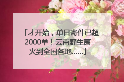 才开始，单日寄件已超2000单！云南野生菌火到全国各地……