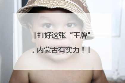 打好这张“王牌”，内蒙古有实力！