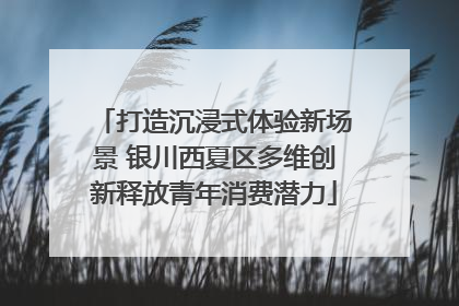 打造沉浸式体验新场景 银川西夏区多维创新释放青年消费潜力