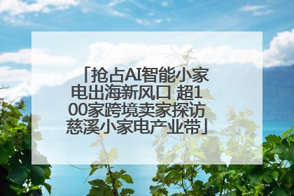 抢占AI智能小家电出海新风口 超100家跨境卖家探访慈溪小家电产业带