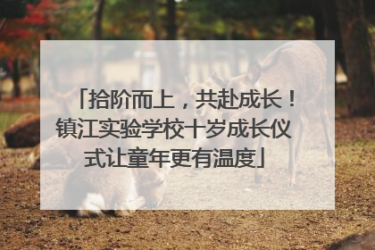 拾阶而上，共赴成长！镇江实验学校十岁成长仪式让童年更有温度