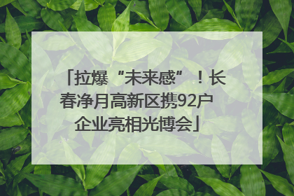 拉爆“未来感”！长春净月高新区携92户企业亮相光博会