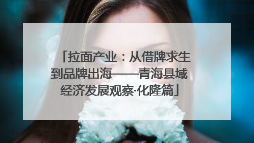 拉面产业：从借牌求生到品牌出海——青海县域经济发展观察·化隆篇