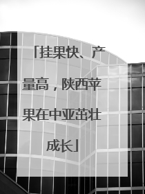 挂果快、产量高，陕西苹果在中亚茁壮成长
