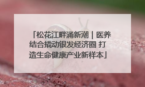松花江畔涌新潮｜医养结合撬动银发经济圈 打造生命健康产业新样本