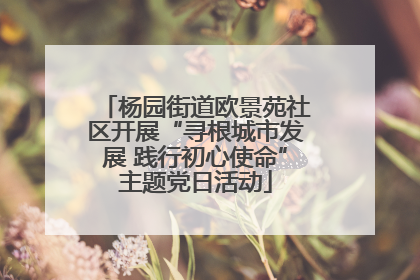 杨园街道欧景苑社区开展“寻根城市发展 践行初心使命”主题党日活动