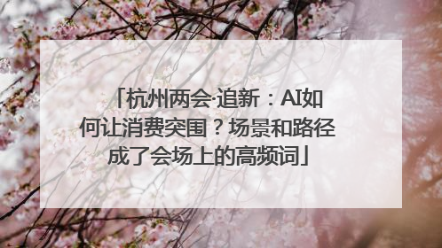 杭州两会·追新：AI如何让消费突围？场景和路径成了会场上的高频词