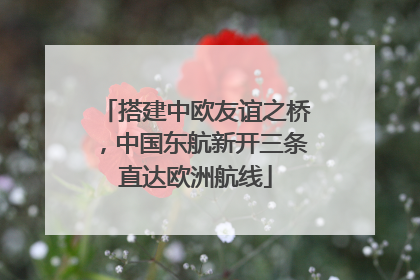 搭建中欧友谊之桥，中国东航新开三条直达欧洲航线