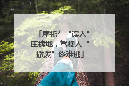摩托车“误入”庄稼地，驾驶人“撒泼”终难逃