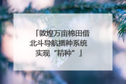 敦煌万亩棉田借北斗导航播种系统实现“精种”
