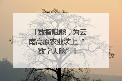 数智赋能，为云南高原农业装上“数字大脑”