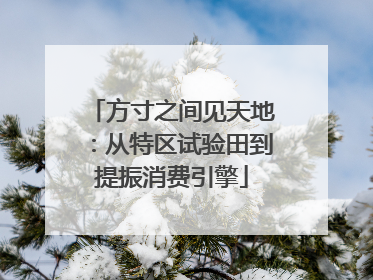 方寸之间见天地：从特区试验田到提振消费引擎