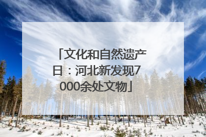 文化和自然遗产日：河北新发现7000余处文物