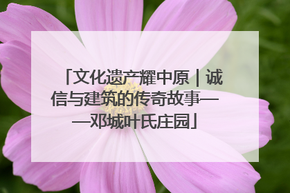 文化遗产耀中原｜诚信与建筑的传奇故事——邓城叶氏庄园