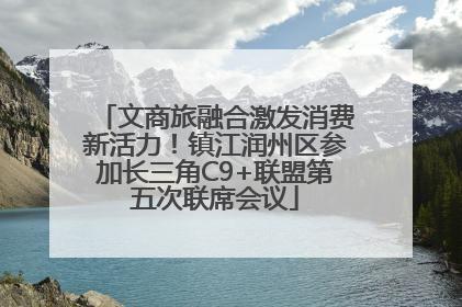 文商旅融合激发消费新活力！镇江润州区参加长三角C9+联盟第五次联席会议
