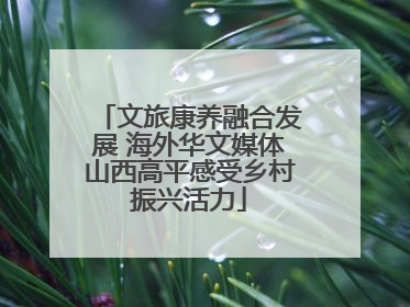 文旅康养融合发展 海外华文媒体山西高平感受乡村振兴活力